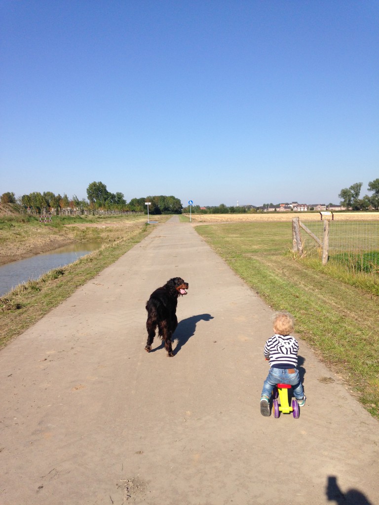 What's on mama's mind - hond