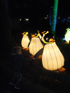 What's on mama's mind Burgers zoo light 