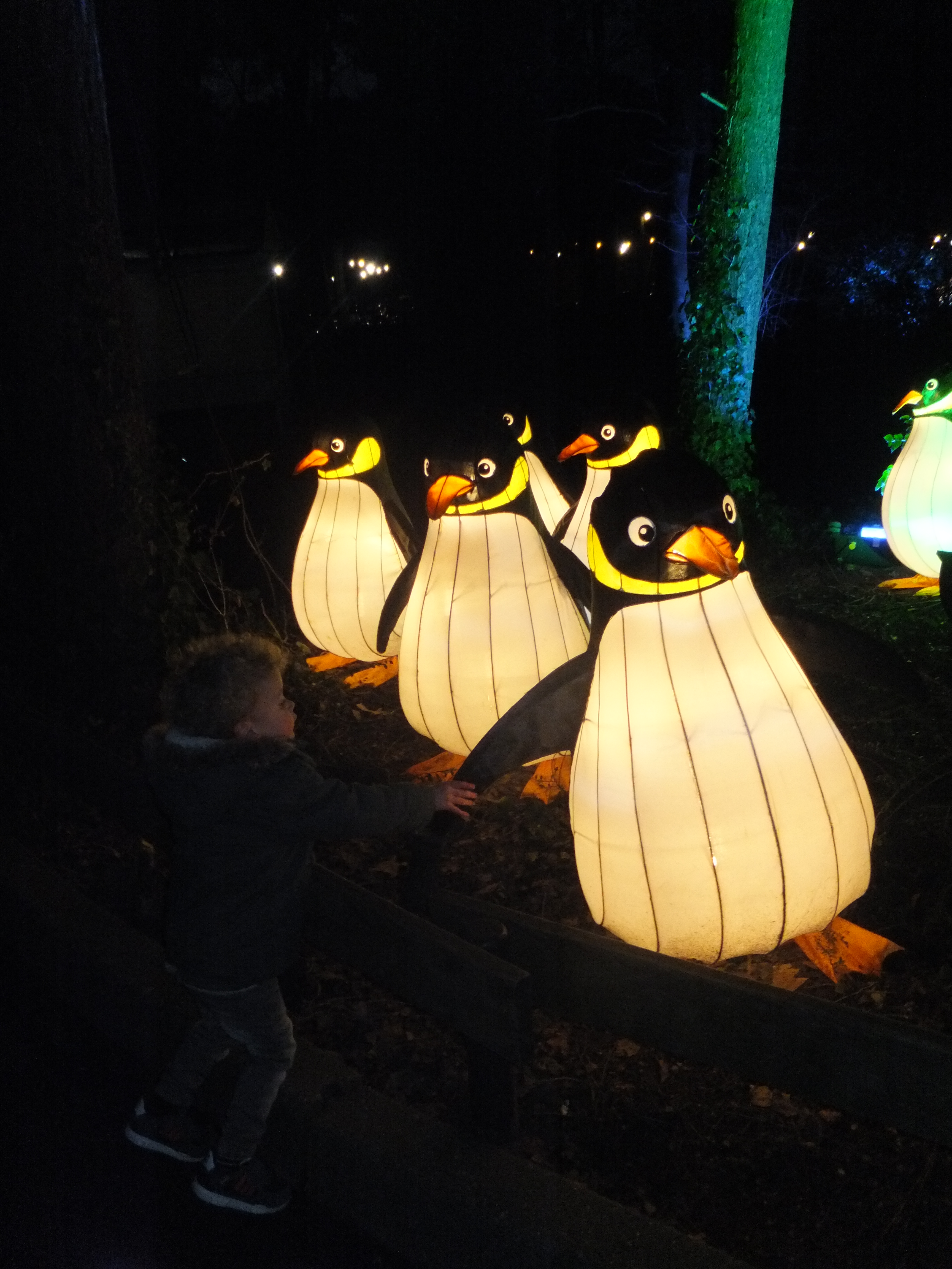 What's on mama's mind Burgers zoo light