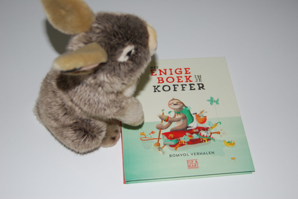 HEt enige boek in je koffer