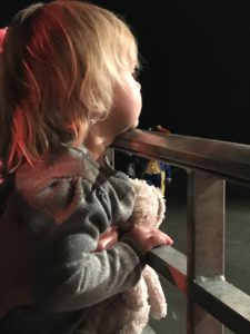 zapp sinterklaasfeest