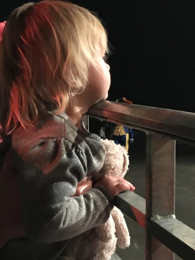 zapp sinterklaasfeest