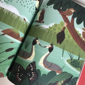 Wat dieren de hele dag doen in het water