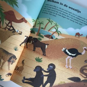 wat dieren de hele dag doen van wendy hunt