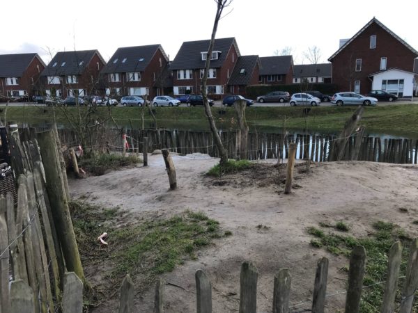 schoolplein groen