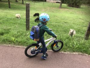 fietshelm nutcase