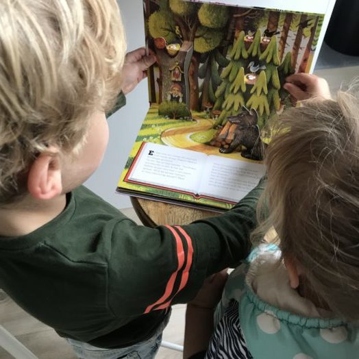 Roodkapje kinderboek