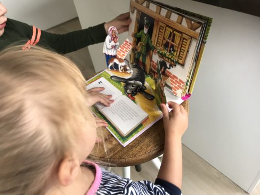 Roodkapje kinderboek