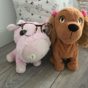 knuffel met bril