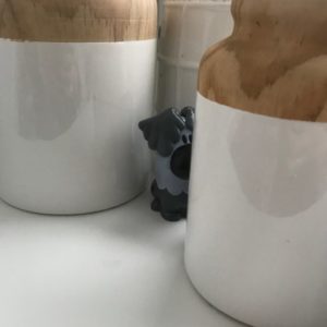 Woezel en Pip verstoppertje spelen