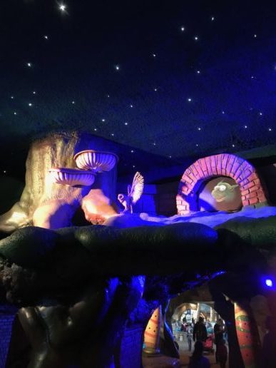 Toverland Magische Winterweken