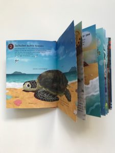 Gottmer 10 redenen waarom schildpadden bijzonder zijn