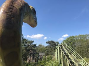 Avonturenpark Hellendoorn dino paddle