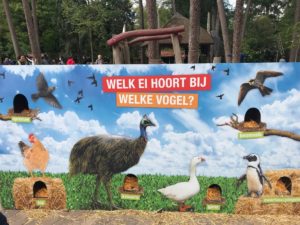 Dierenpark Amersfoort