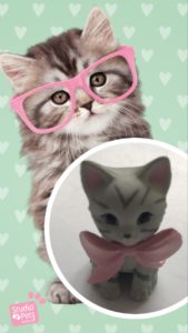 Studio Pets photoboot app