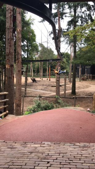 De ooievaart dierenpark amersfoort zippline