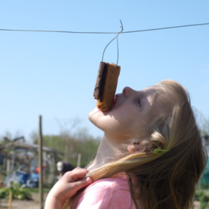 koekhappen