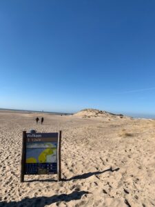 haaientanden zoeken in t zwin cadzand bad
