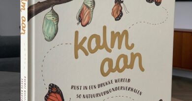 kinderboek kalm aan