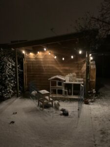 lampjes konijnenhok