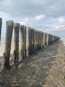 palen in de zee breskens
