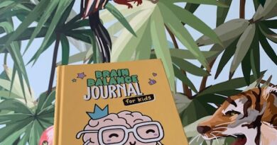 brain balance journal kids
