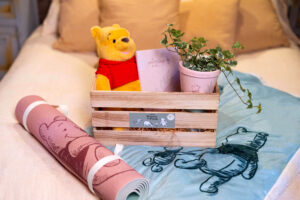 Winnie the pooh
