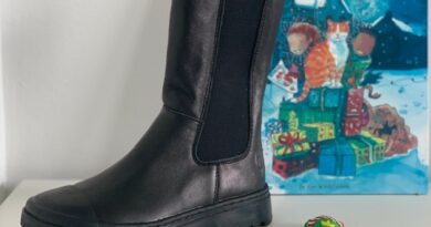 Klaas de kat sinterklaasboek