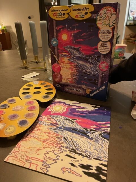 ravensburger schilderen op nummer