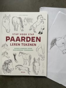 stap voor stap paarden leren tekenen