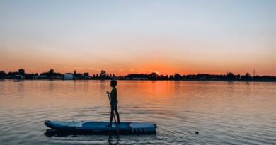 supboard decathlon
