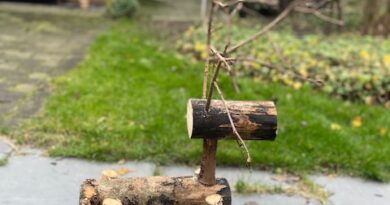 hert van hout