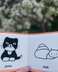 wat zie je in de tuin nijntje poes en slak